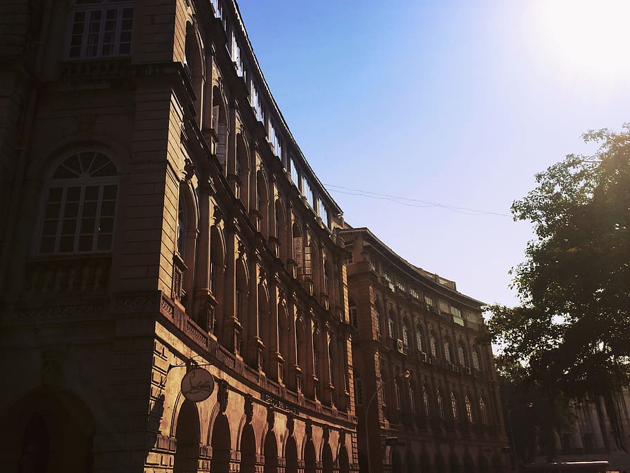 architecture, building, infrastructure, blue, sky, tree, sunny HD wallpaper