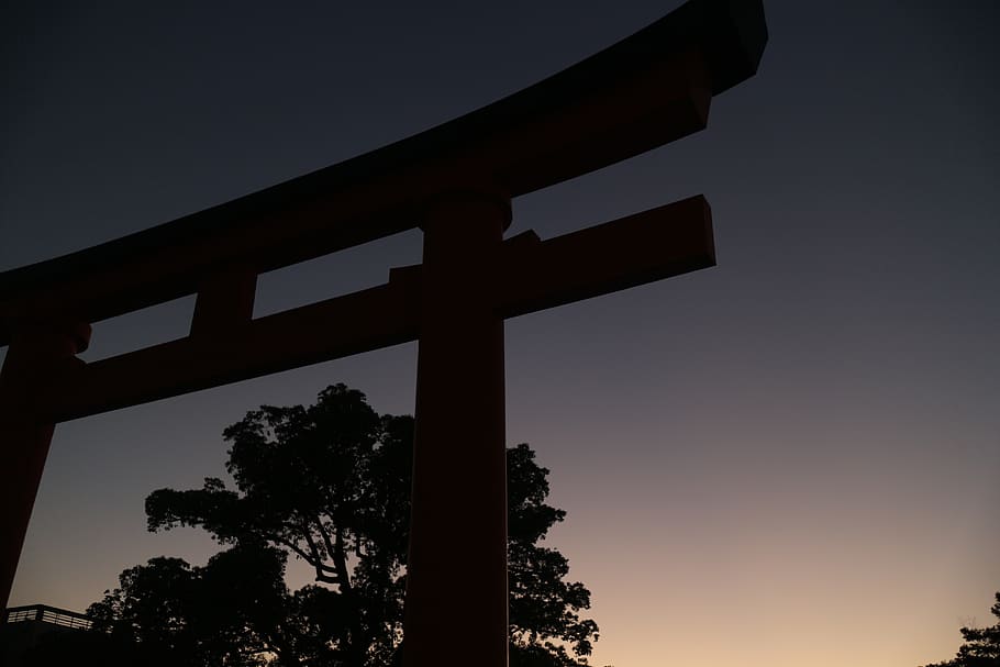 japan, kyoto, fushimi inari shrine, sunset, golden hour, torii, HD wallpaper