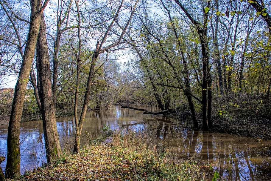 river, water, trees, nature, landscape, outdoor, outdoors, clouds HD wallpaper