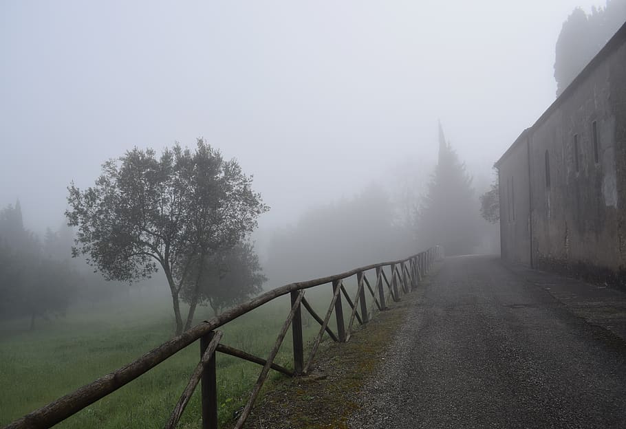 fog, countryside, tree, plant, nature, beauty in nature, sky HD wallpaper
