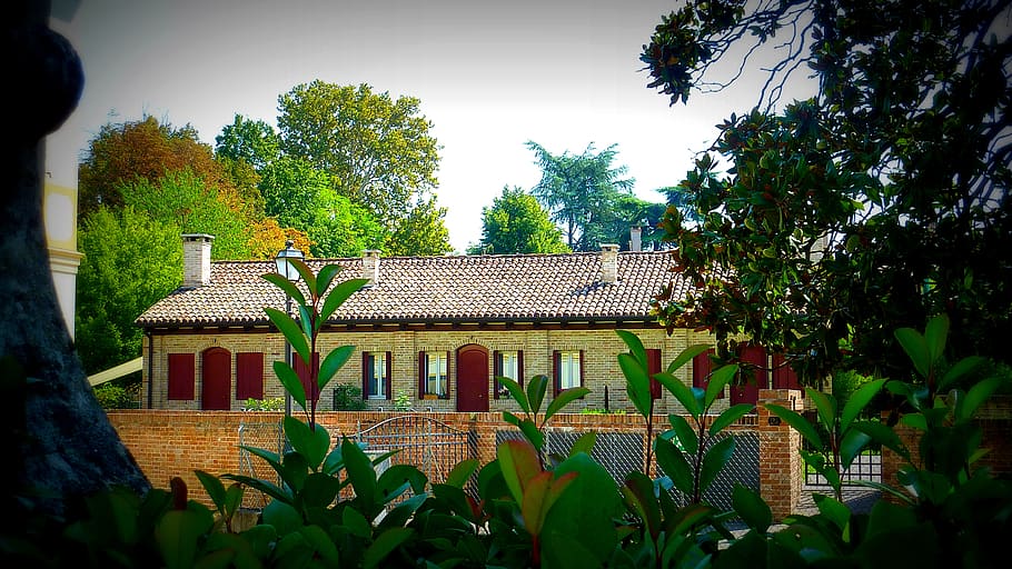 italy, trees, nature, looking out, house, sunny, bushes, day HD wallpaper