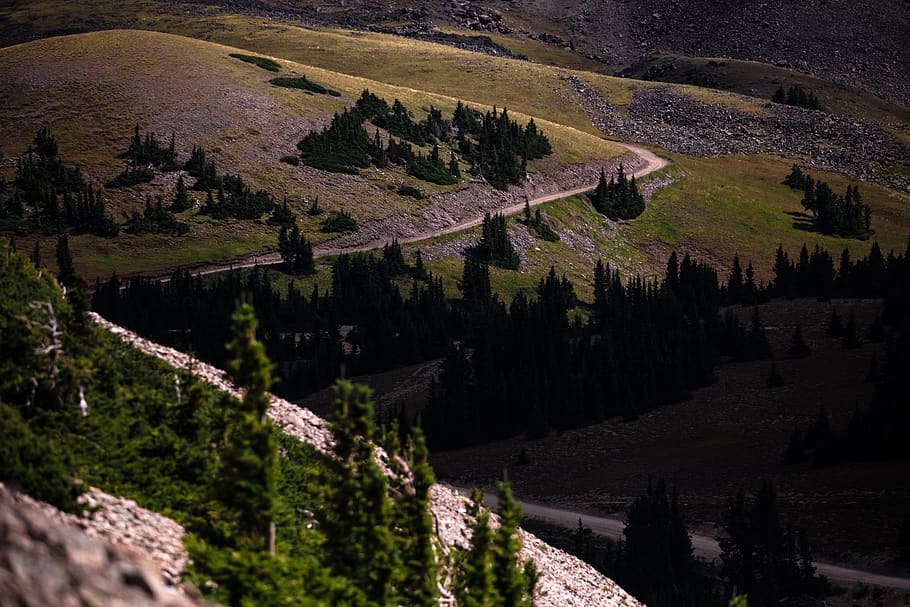 mountains and trees scale modl, human, person, people, road, forest HD wallpaper