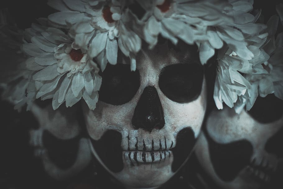 black and white skull decor, human skull, human skeleton, spooky HD wallpaper