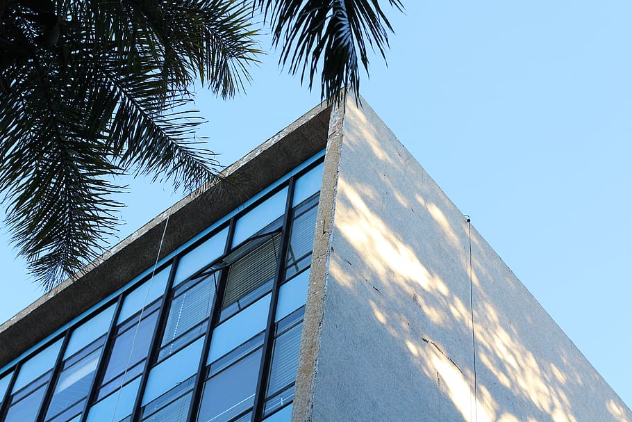 low angle view, architecture, building exterior, sky, palm tree HD wallpaper