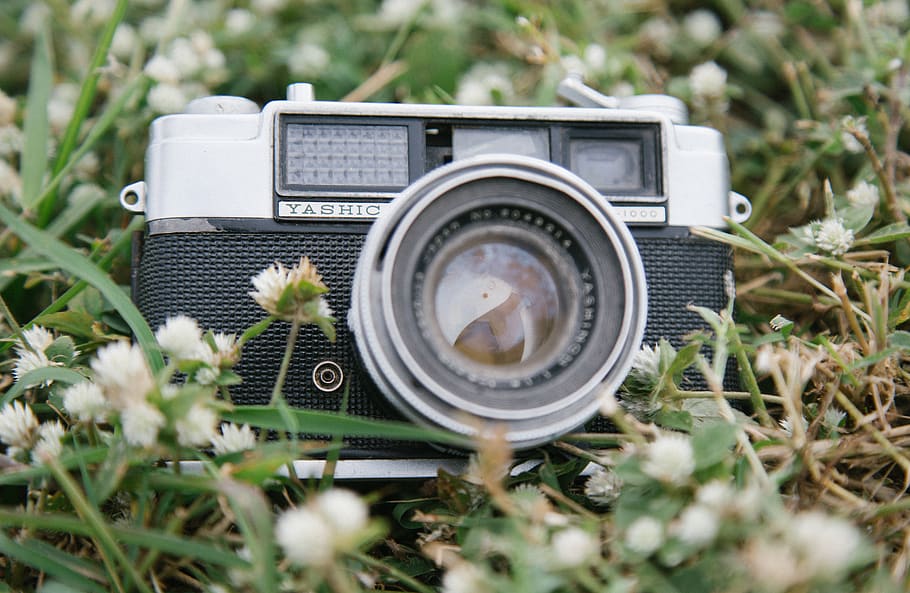 black and gray DSLR camera, technology, plant, close-up, field HD wallpaper