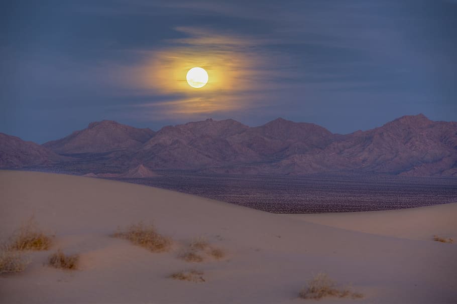 sand, sandy, dune, nature, landscape, desert, sunset, beauty in nature HD wallpaper