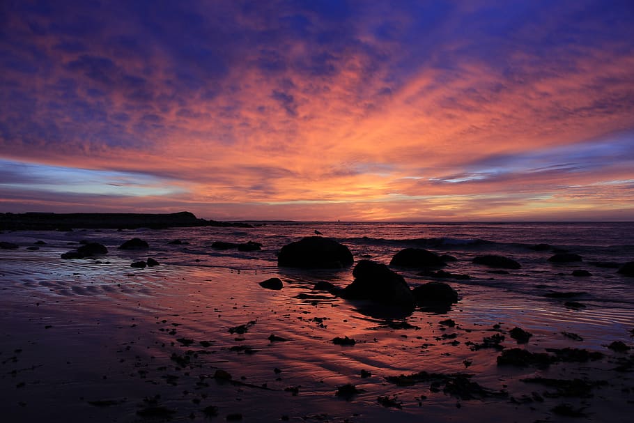 Horizon during Sunset, beach, clouds, coast, coastline, dawn HD wallpaper