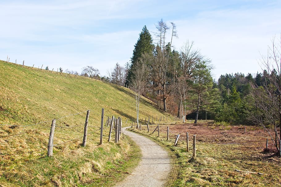 spring, nature, trees, away, frühlingsanfang, idyllic, mood HD wallpaper