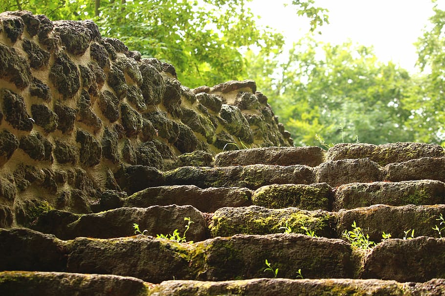 Brown Staircase, blur, close-up, environment, focus, landscape HD wallpaper