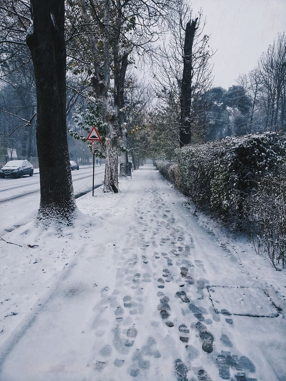 snow filled pathway, nature, outdoors, storm, winter, blizzard HD wallpaper