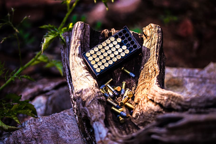 Photo of Bullets With Box on Top of Wood Trunk, .22 ammo, ammunition, HD wallpaper