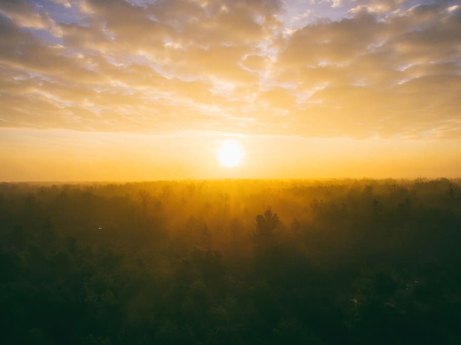 nature, landscape, forest, woods, leaves, autumn, fall, sunset HD wallpaper