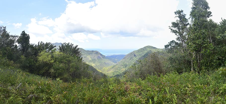 trekking, mountain, sea, sky, nature, plant, tree, scenics - nature HD wallpaper