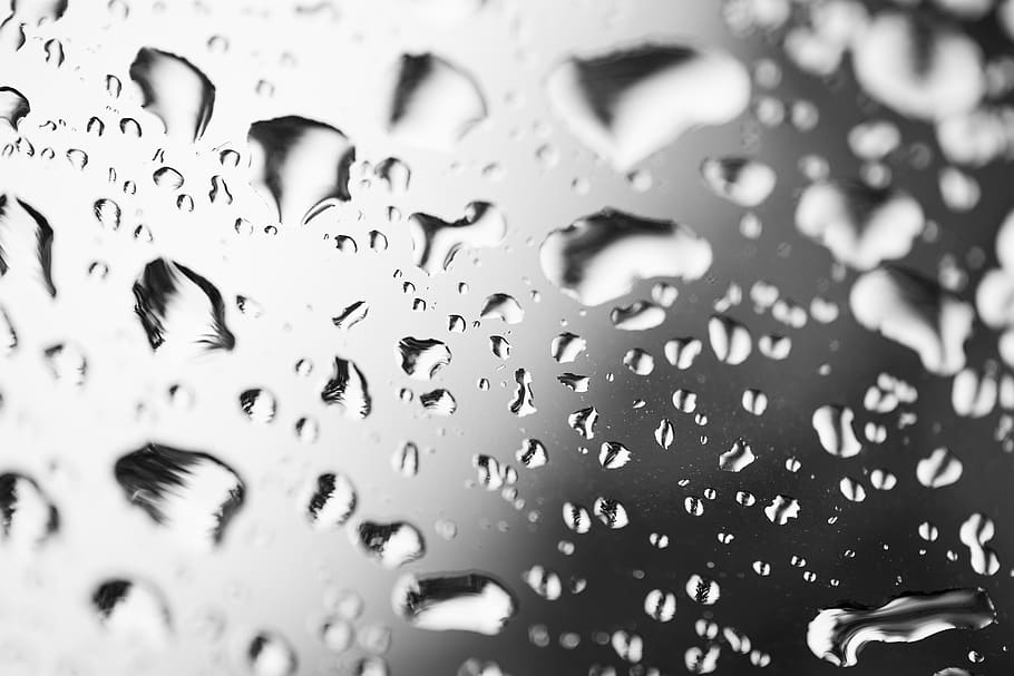 drip, raindrop, water, wet, nature, drop of water, droplets HD wallpaper