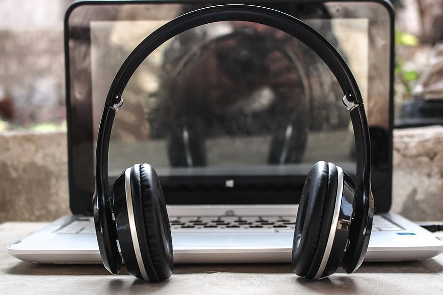 Photo of Black Wireless Headphones in Front of the Laptop, audio HD wallpaper