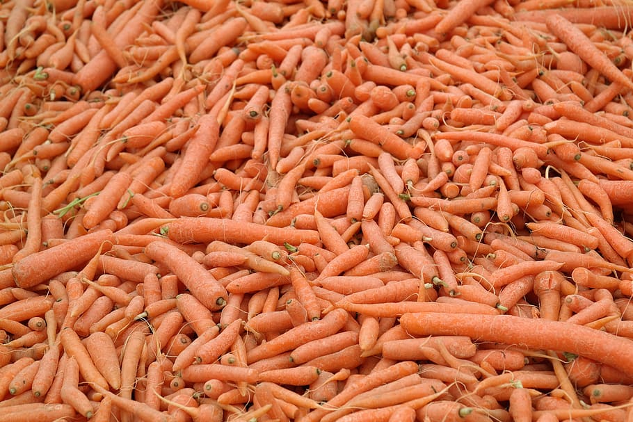 carrots, vegetables, mohr practice, healthy, nutrition, food, HD wallpaper