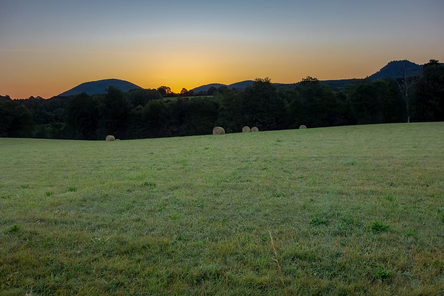 field, fields, prairie, hill, agriculture, rural, landscape HD wallpaper
