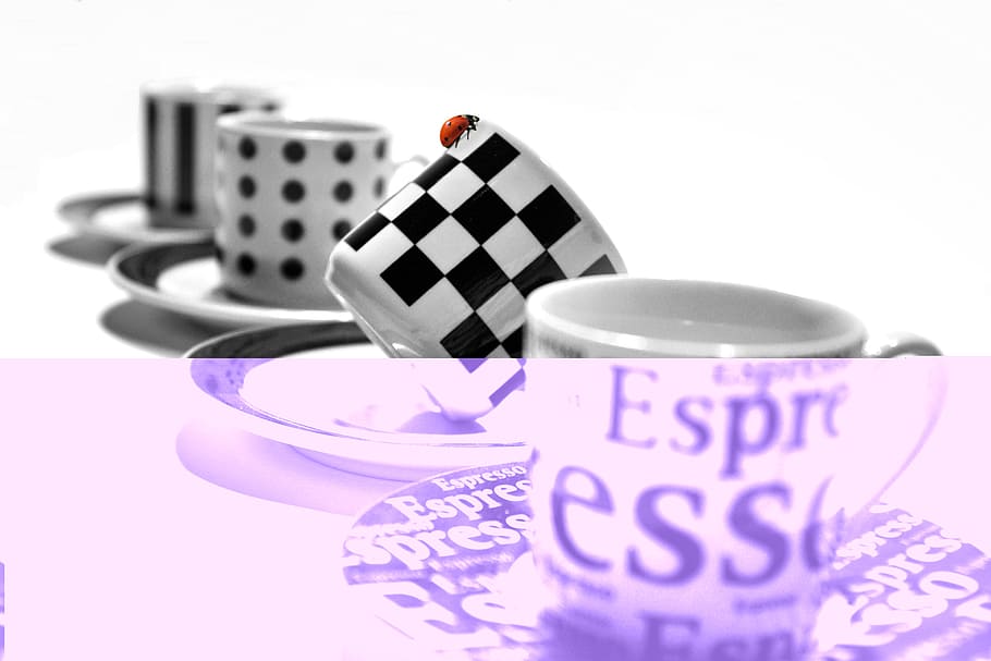 cup, tea, ladybug, insect, animal, wild, nature, fly, red, object HD wallpaper