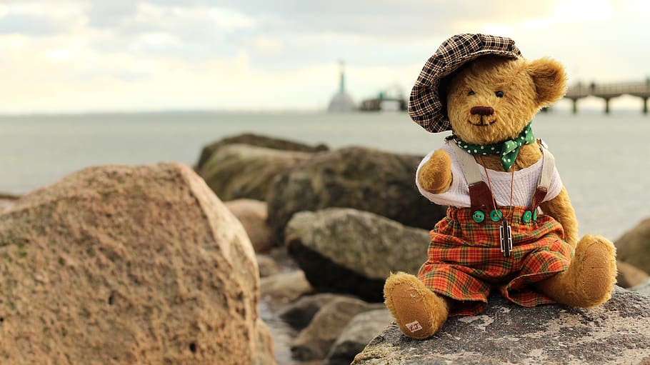 Toy on Rock by Sea Against Sky, beach, bear, blur, boardwalk HD wallpaper