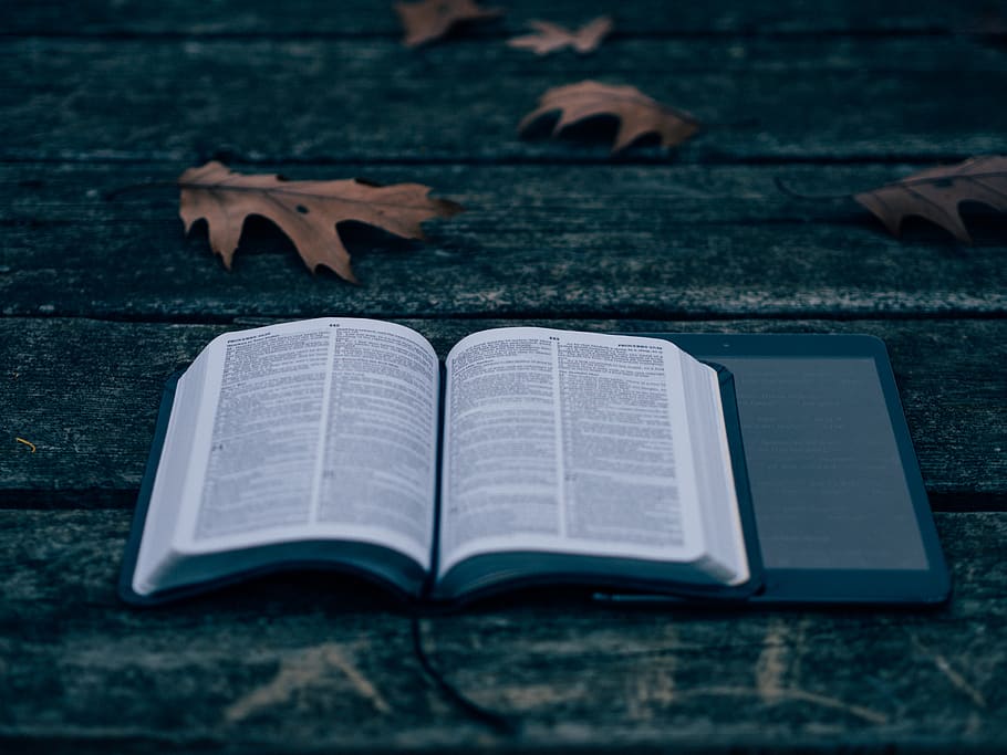 An open book on a wooden deck with leaves surrounding it., bible