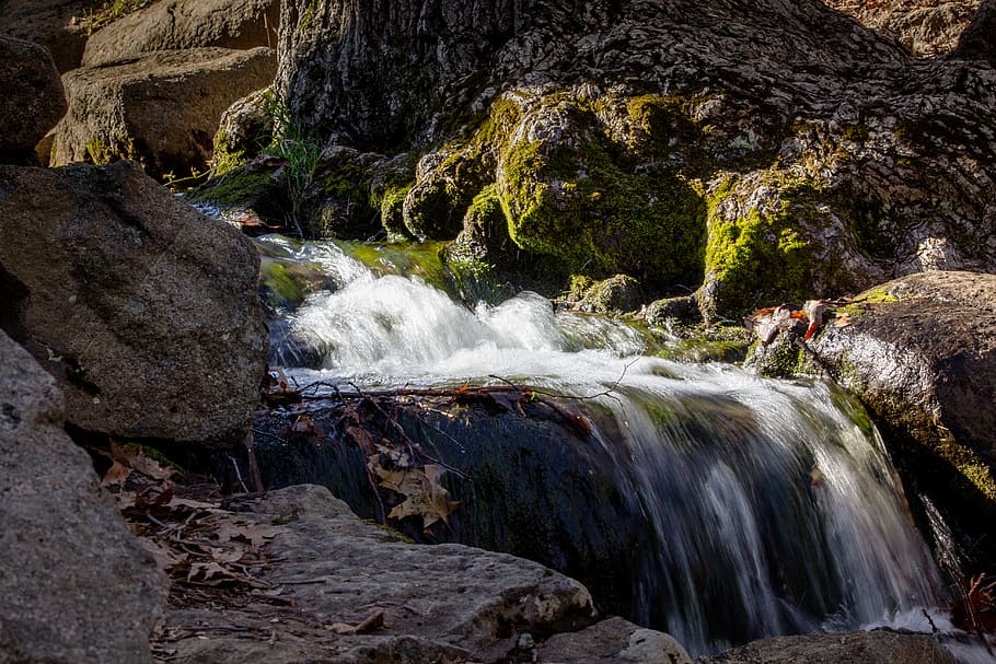 green, abstract, movement, river, waterfall, tree, nature, rock HD wallpaper