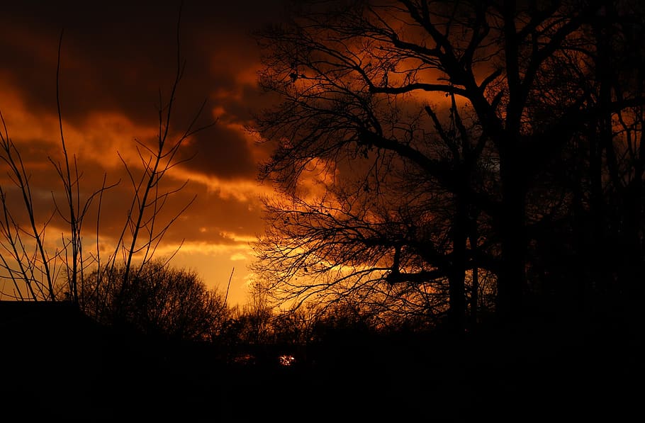 fire, sunset, trees, plants, clouds, sky, black, silhouette HD wallpaper