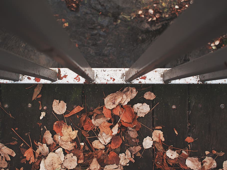 czech republic, kutna hora, fall, autumn, leaves, fallen leaves, HD wallpaper