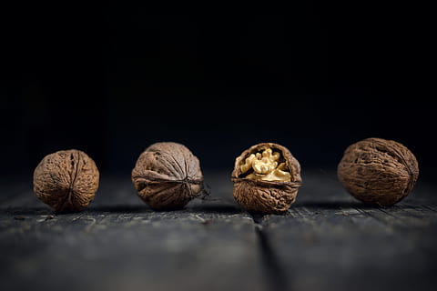 walnut, fresh, cracked, macro, broken, open, nutshell, tree HD wallpaper