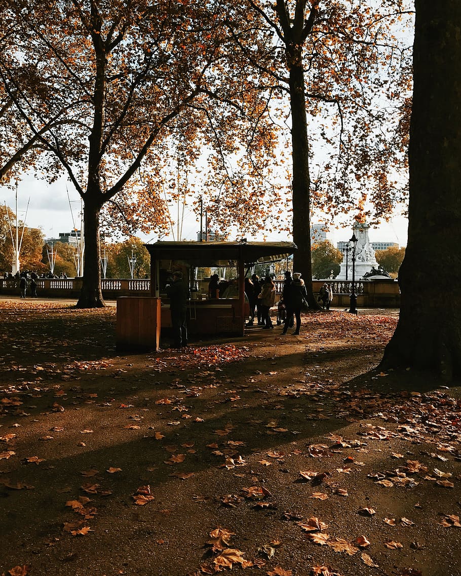 HD wallpaper: london, united kingdom, autumn, iphone 7, trees, people,  colors | Wallpaper Flare