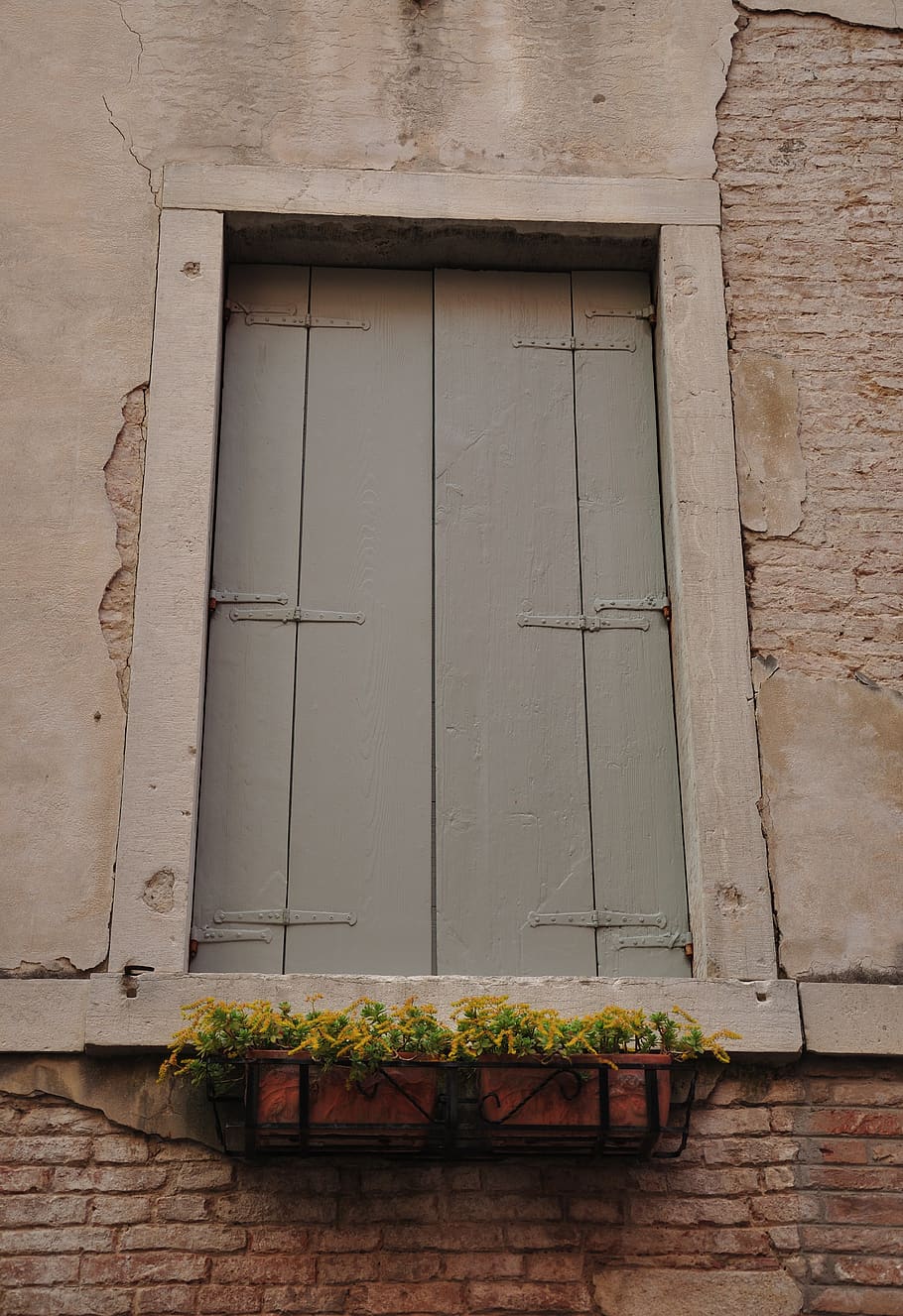italy, venice, window, shutter, built structure, architecture HD wallpaper