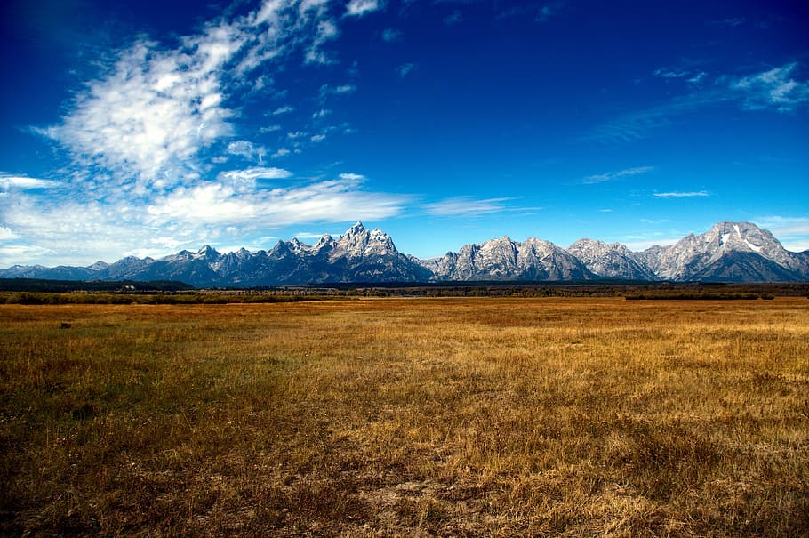 Alpine prairie 1080P, 2K, 4K, 5K HD wallpapers free download | Wallpaper  Flare