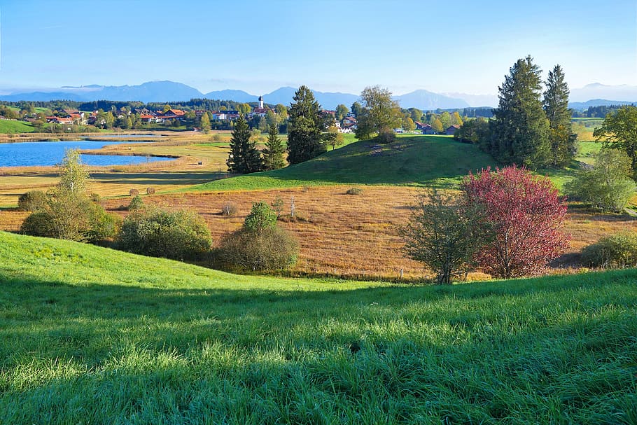 landscape, nature, grass, field, still, alpine, summer, green HD wallpaper