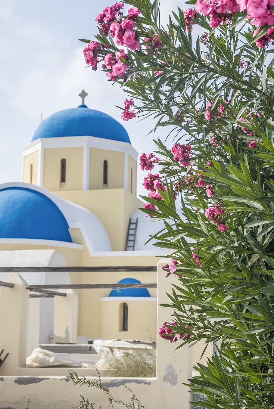 pink petaled flowers, architecture, building exterior, dome, built structure HD wallpaper
