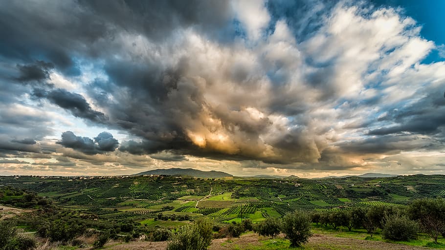 Green Forest Under Cloudy Sky, cloudiness, clouds, daylight, fields HD wallpaper