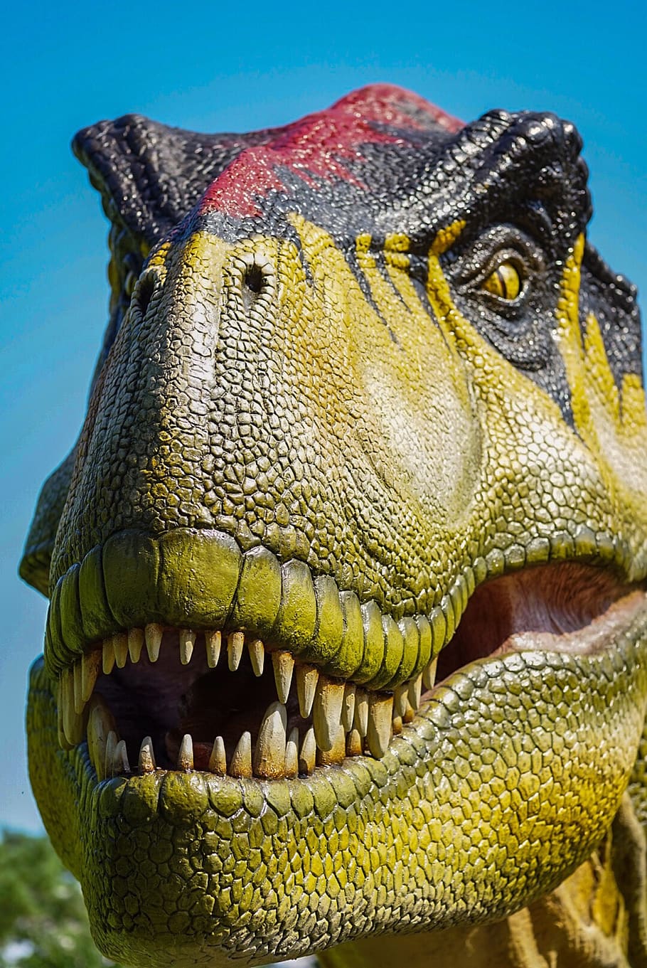 dinosaur, rex, teeth, one animal, close-up, animal themes, animal body part HD wallpaper