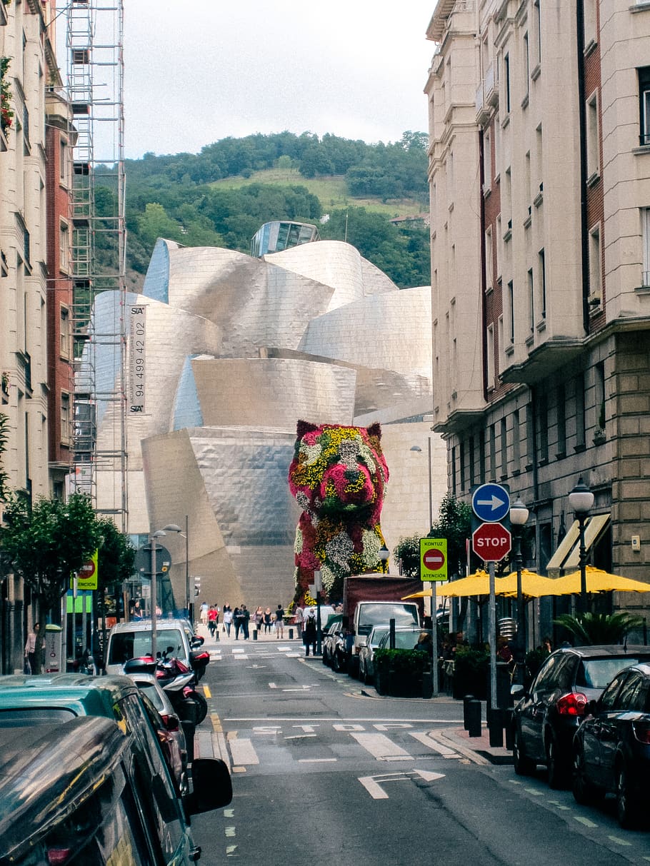 spain, bilbo, guggenheim museum bilbao, dog, animal, street