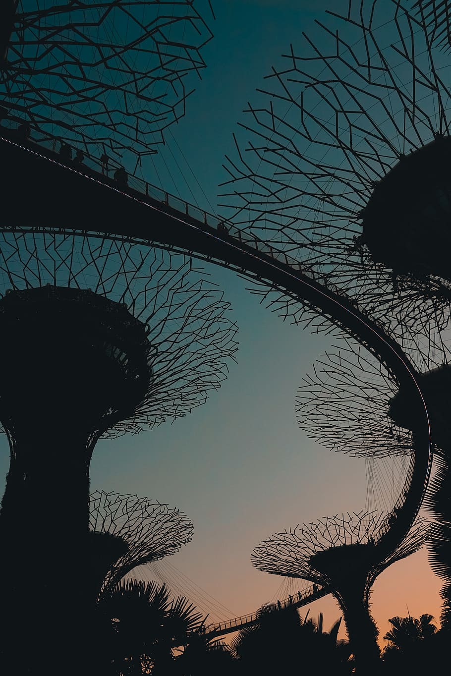 singapore, gardens by the bay, trees, hd, wallpaper, sky, plant, HD wallpaper
