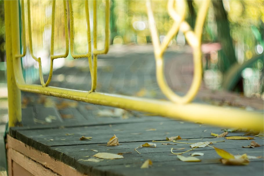 yellow, railing, wood, path, water, nature, day, no people HD wallpaper