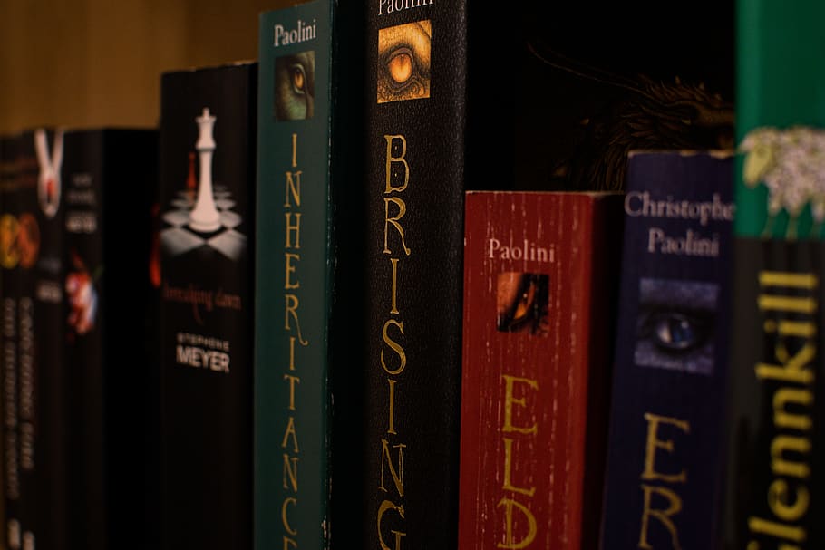 human, book, within, education, stock, vertical, book stack HD wallpaper