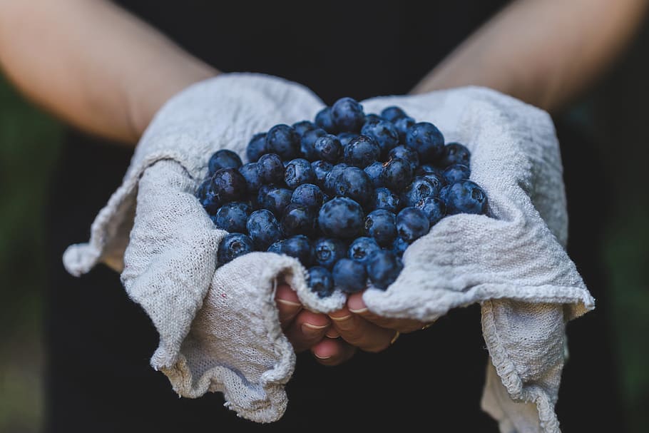 Blueberries In Hand Photo, Food, Fruit, Just Add Water, Fall, HD wallpaper