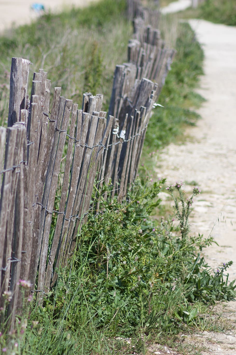 france, plant, barrier, no people, wood - material, boundary HD wallpaper