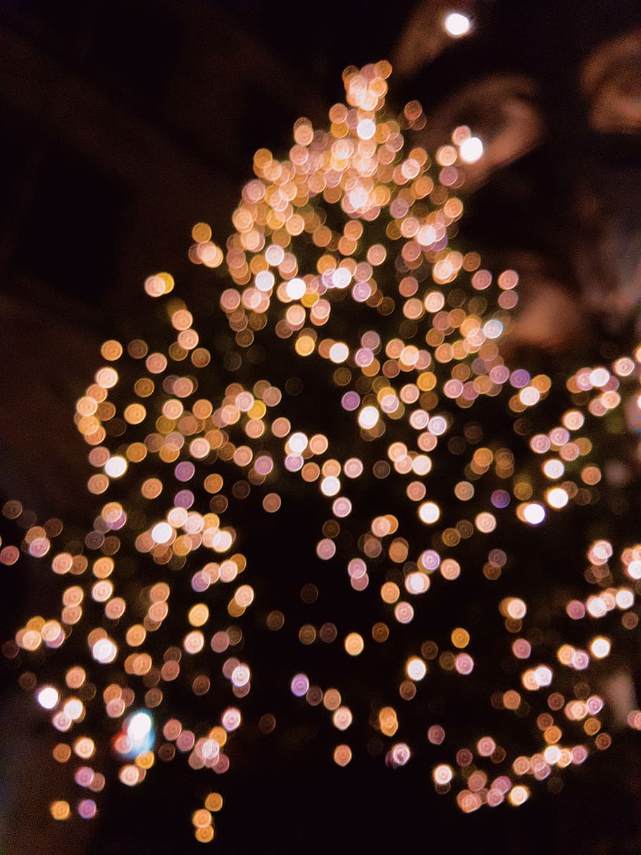 nature, outdoors, lighting, night, fireworks, sweets, confectionery HD wallpaper