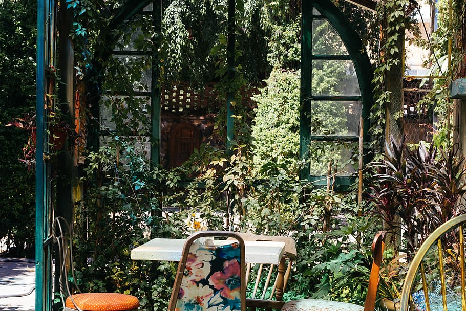 open, spaces, nature, leaf, chair, decoration, plant, tree HD wallpaper