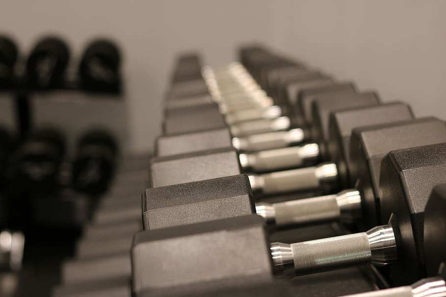 weights, dumbbells, exercise, gym, workout, equipment, indoors, HD wallpaper