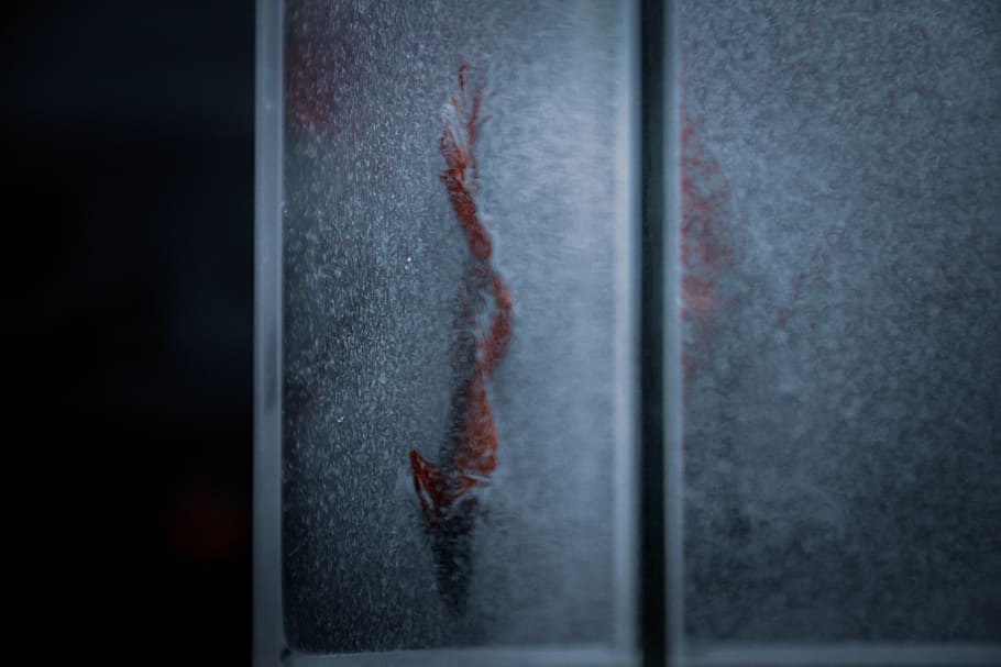 close-up, indoors, no people, focus on foreground, single object HD wallpaper