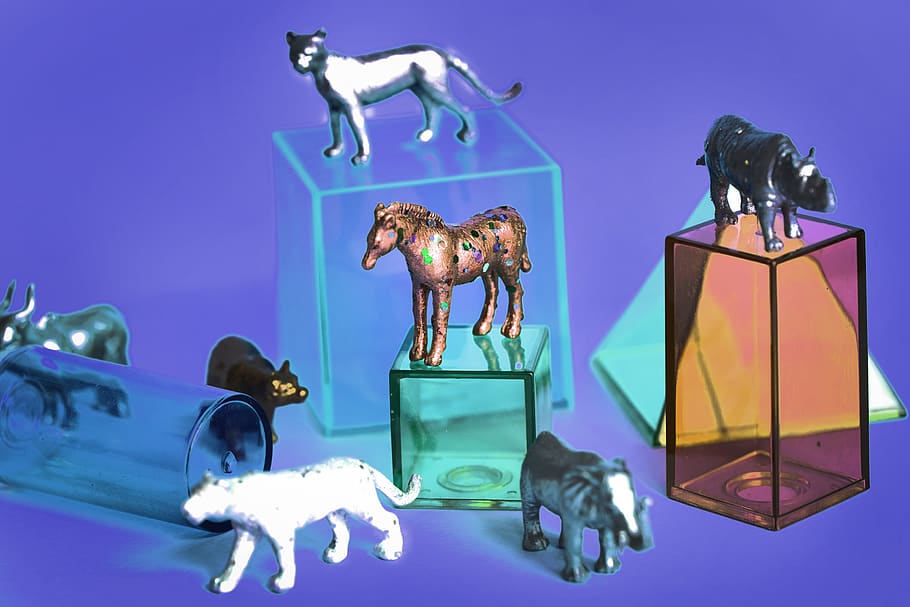 Assorted-color Animal Illustration, animals, background, boxes HD wallpaper