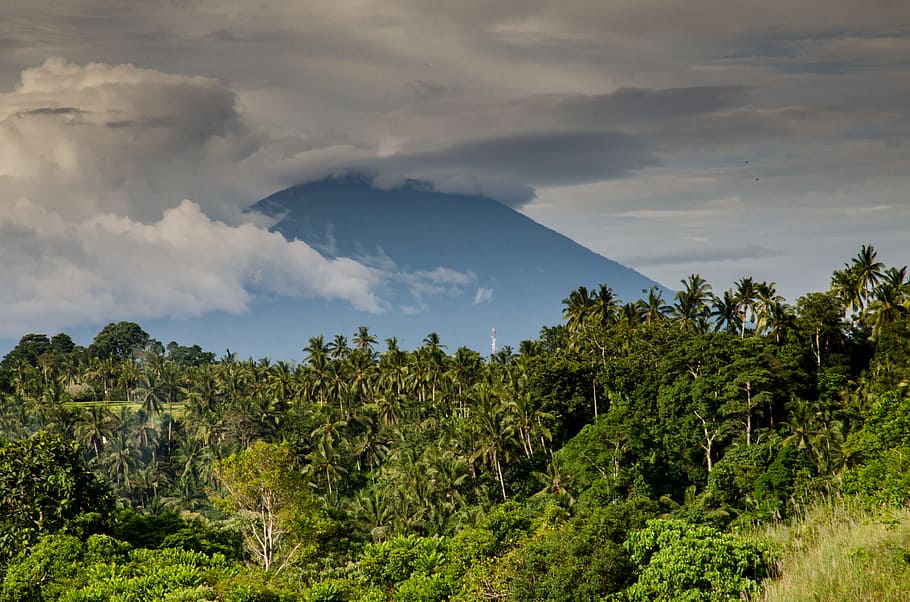 volcano, mountain, smoke, trees, nature, bushes, cloud - sky HD wallpaper