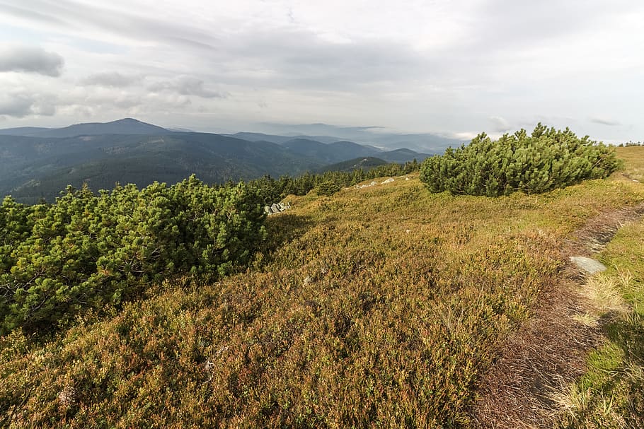 mountains, sky, clouds, nature, trees, forest, path, beauty in nature HD wallpaper