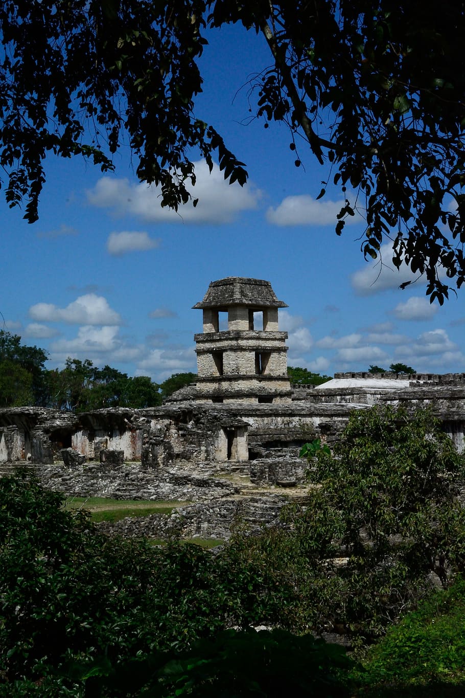 palenque, palace, architecture, built structure, plant, sky HD wallpaper