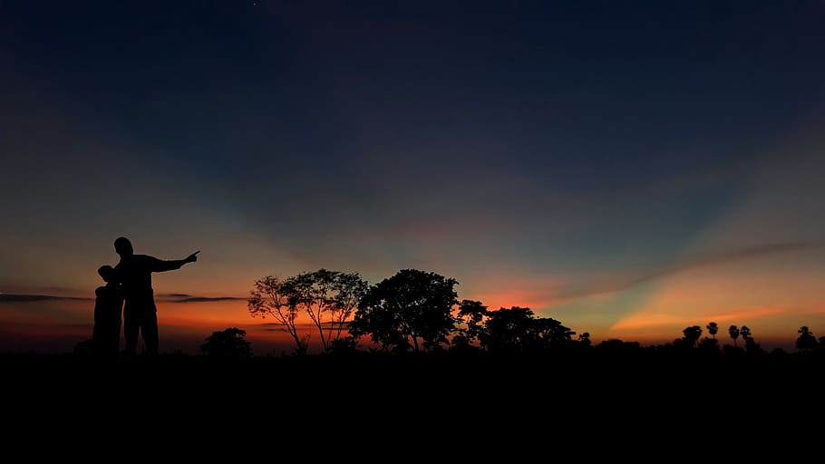 landscape, tree, sunset, sunrise, morning, evening, people HD wallpaper